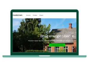 Anmeldelse af Modstrøm