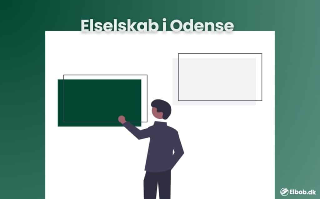 Elselskab Odense