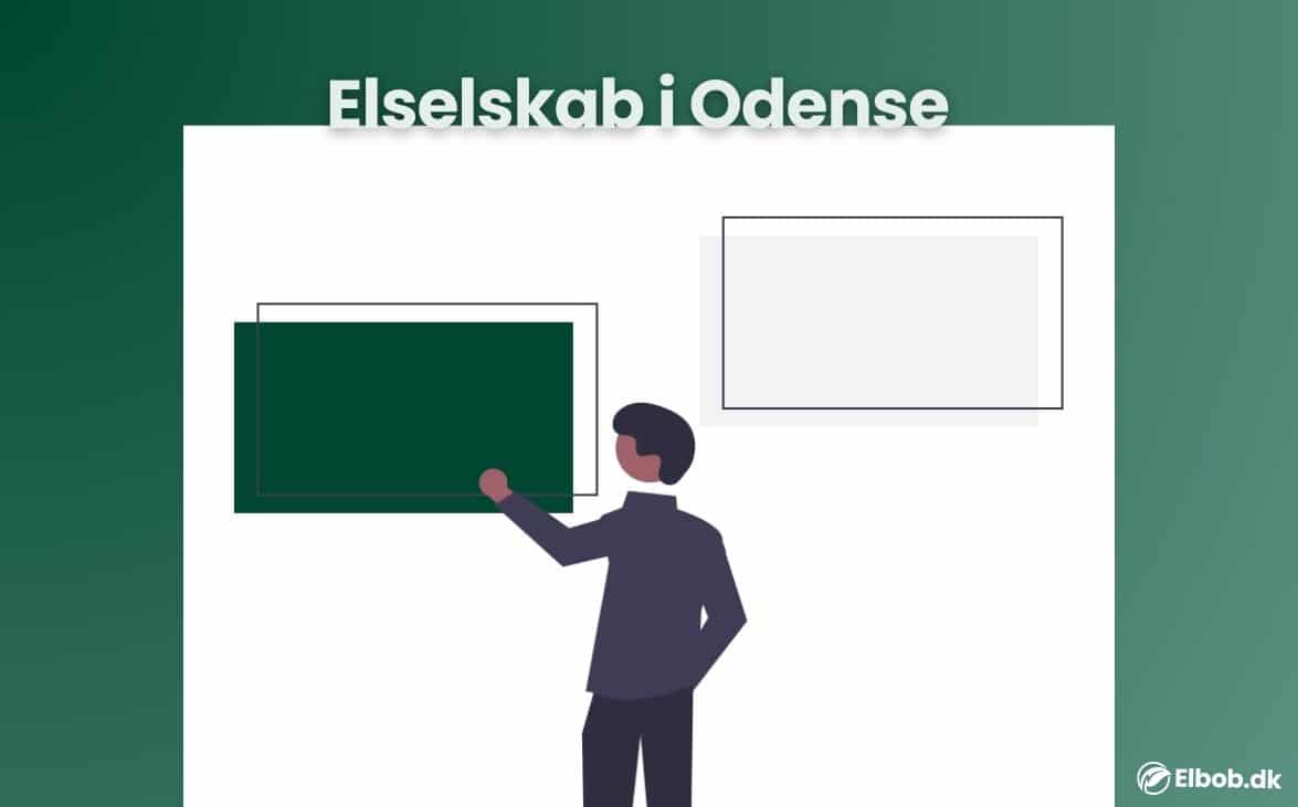 Elselskab Odense