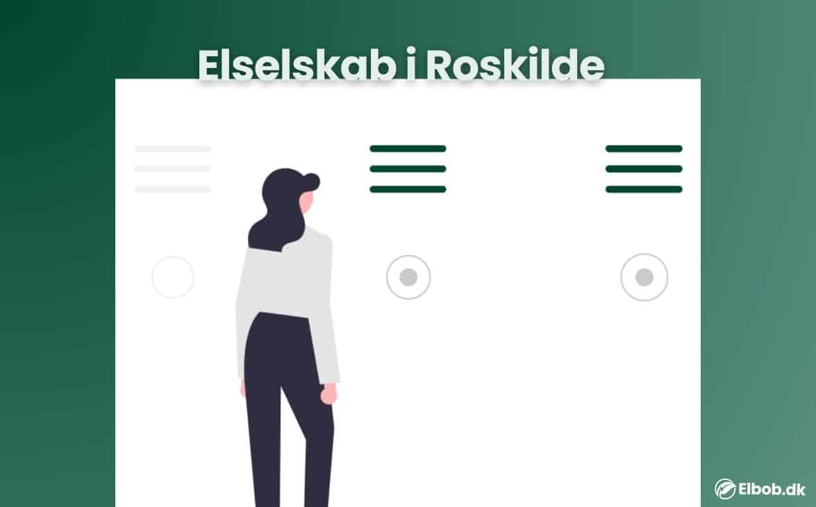 Elselskab Roskilde