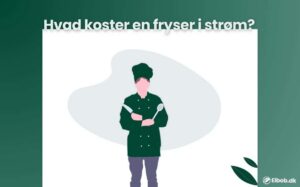 Hvad koster en fryser i strøm