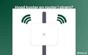 Hvad koster en router i strøm