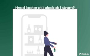 Hvad koster et køleskab i strøm