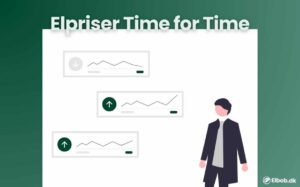 elpriser time for time