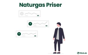 Naturgas priser