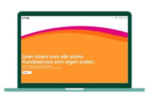 b energy anmeldelse elselskab