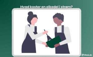 hvad koster en elkedel i strøm